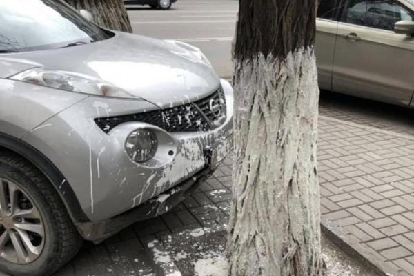 Nissan Juke побелили вместе с деревом в Ростове-на-Дону